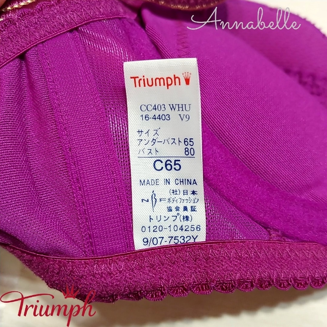 Triumph(トリンプ)のトリンプ C65 ブラジャー 厚手パッド ワイヤー入り 下着 アンダーウェア レディースの下着/アンダーウェア(ブラ)の商品写真