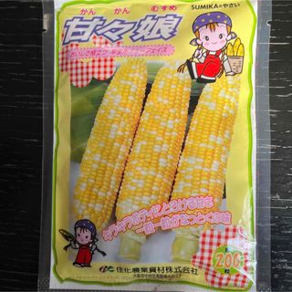 甘々娘(甘太郎)種子80粒(野菜)