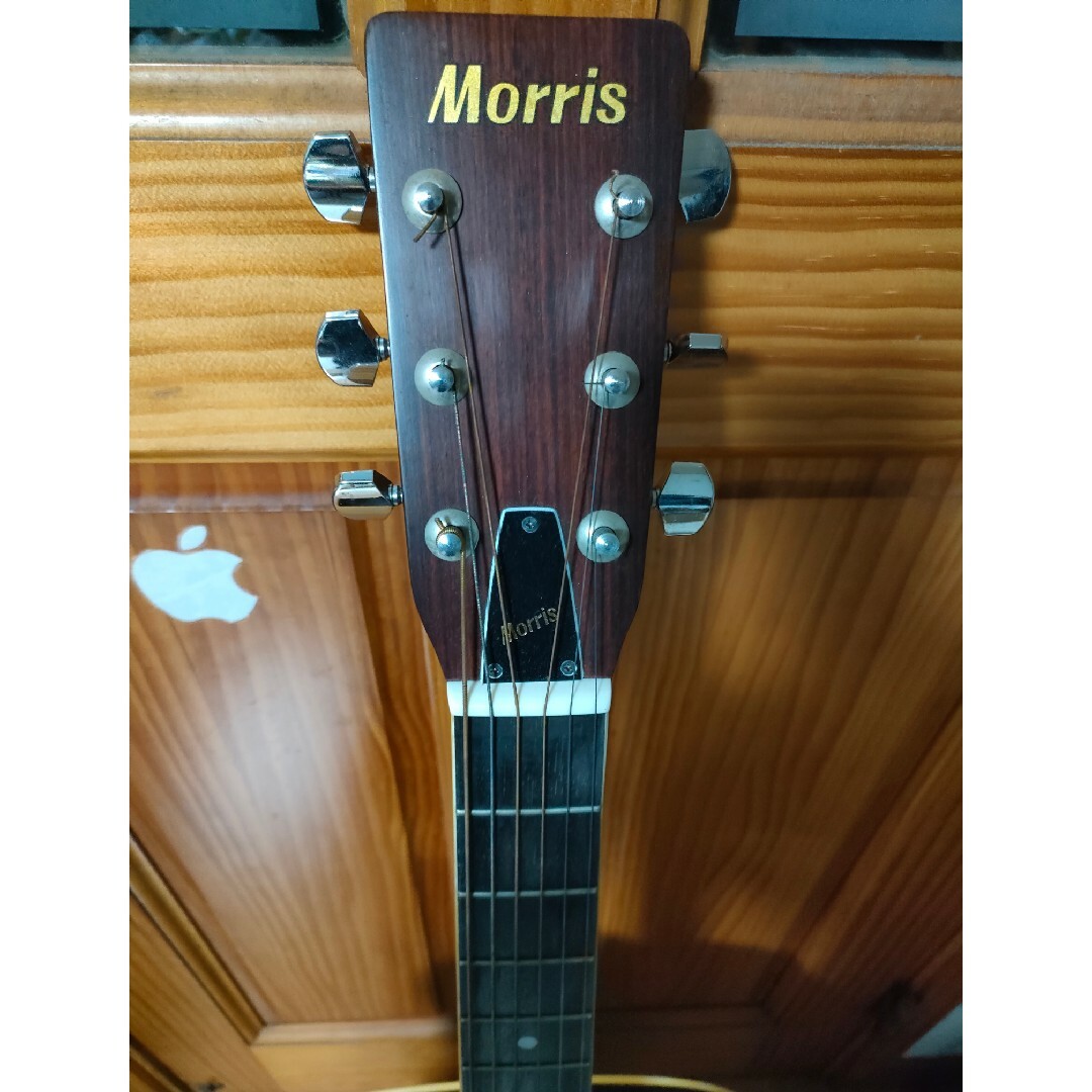 MORRIS(モーリス)のモーリスアコースティックギター 楽器のギター(アコースティックギター)の商品写真