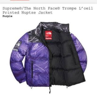 シュプリーム(Supreme)のSupreme / The North Face Trompe Loeil Pr(ダウンジャケット)