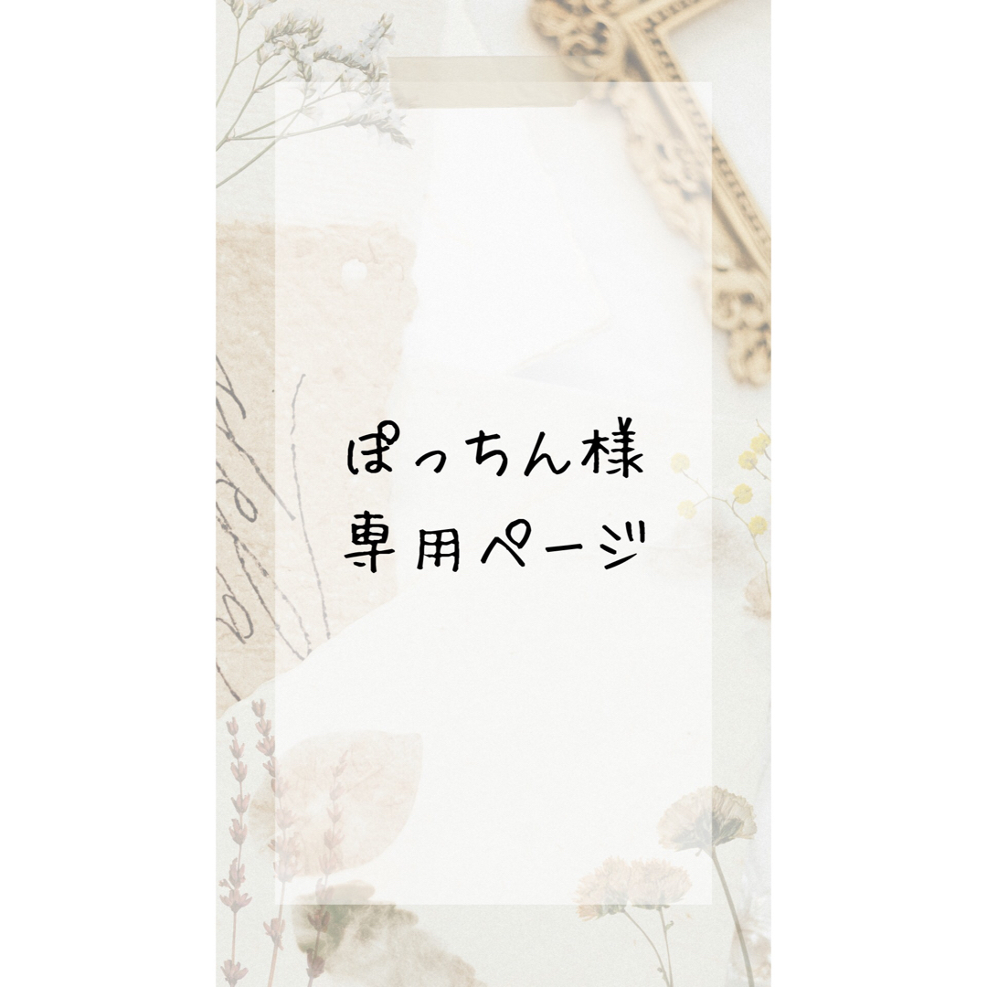 ぽっちん様専用ページ ハンドメイドのキッズ/ベビー(外出用品)の商品写真