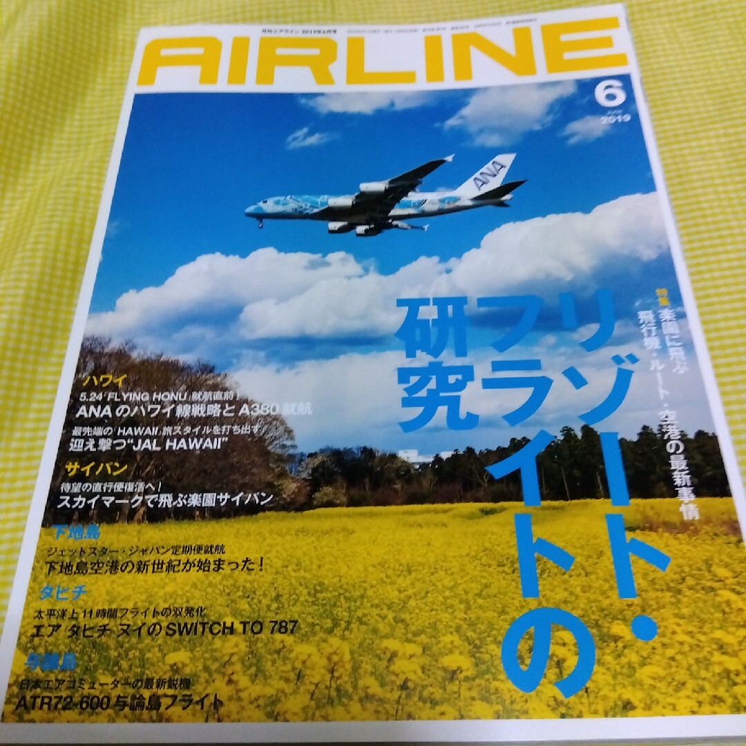 AIRLINE (エアライン) 2019年 06月号 [雑誌] エンタメ/ホビーの雑誌(その他)の商品写真