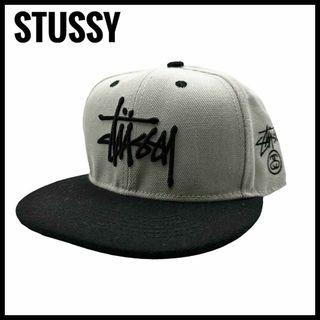 ステューシー(STUSSY)の帽子　キャップ　男性　STUSSY  スナップバックキャップ　メンズ　グレー(キャップ)