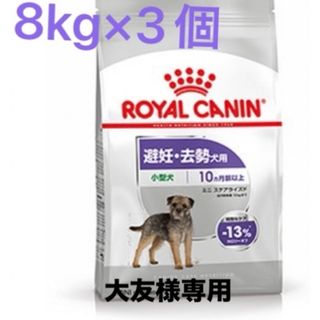 ロイヤルカナン(ROYAL CANIN)の大友様専用　ロイヤルカナン　ミニステアライズド8kg ×3個(ペットフード)