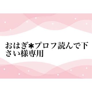 おはぎ✱プロフ読んで下さい様専用(その他)