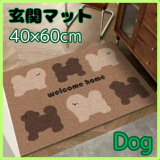 玄関 マット 犬 イヌ 可愛い トイプードル マルチーズ 40×60cm 韓国(玄関マット)