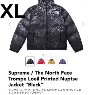 シュプリーム(Supreme)のSupreme / The North Face  新品　XL(ダウンジャケット)