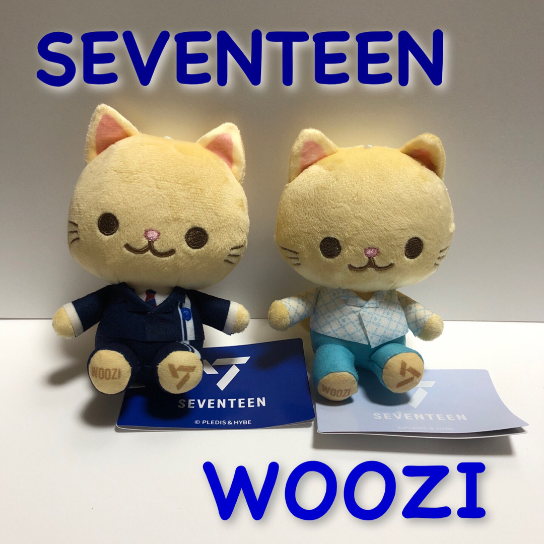 SEVENTEEN(セブンティーン)のSEVENTEEN【WOOZI】ウジ　猫　ぬいぐるみ　２点セット エンタメ/ホビーのタレントグッズ(アイドルグッズ)の商品写真