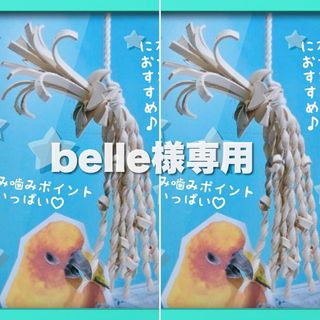 belle様専用(鳥)