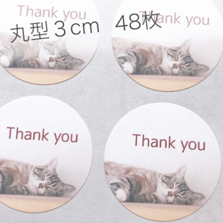 T-0252 猫ちゃん サンキューシール Thank you(しおり/ステッカー)