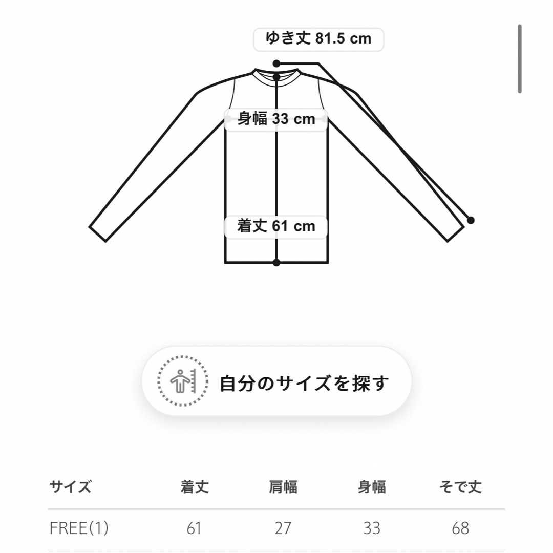 AURALEE(オーラリー)の新品 AURALEE オーラリー シアー ロングスリーブ カットソー レディースのトップス(カットソー(長袖/七分))の商品写真