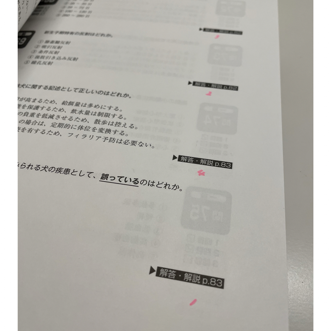 中古　愛玩動物看護師国家試験完全対策問題集 エンタメ/ホビーの本(資格/検定)の商品写真