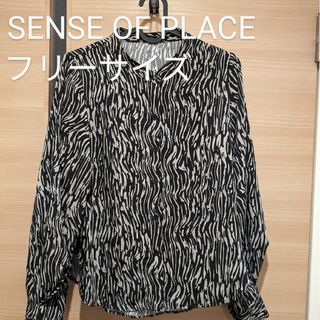 SENSE OF PLACE by URBAN RESEARCH - 【期間限定】オフィスカジュアル/長袖ブラウス/シャツ/フリーサイズ