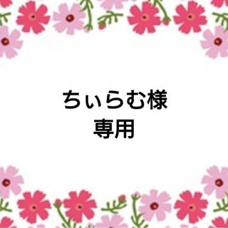 ちぃらむ様 専用 (ほんのきもちシール)(その他)