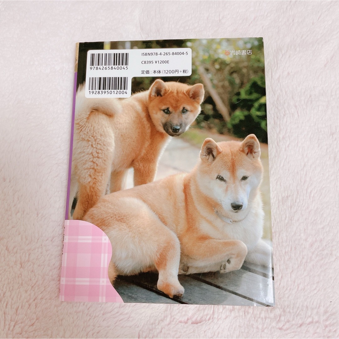 子犬のきららと捨て犬・未来 エンタメ/ホビーの本(絵本/児童書)の商品写真