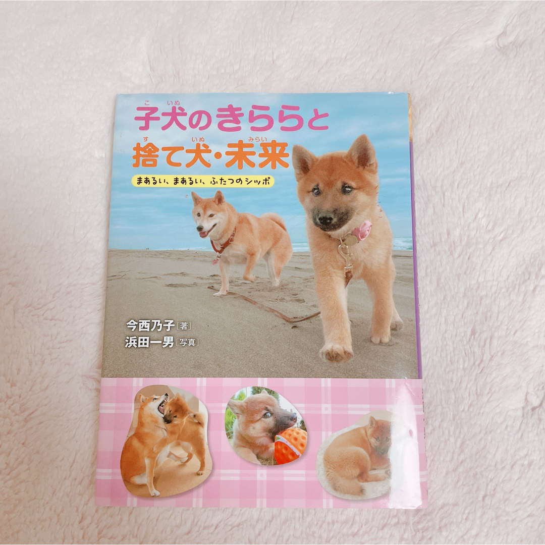 子犬のきららと捨て犬・未来 エンタメ/ホビーの本(絵本/児童書)の商品写真