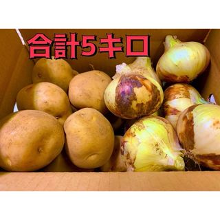 じゃがいも　玉ねぎ　合計5キロ　長崎県島原半島産　産地直送(野菜)