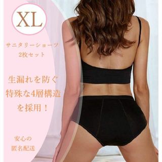 XL／2枚セット　安心設計のサニタリーショーツ　吸水ショーツ 生理パンツ(ショーツ)