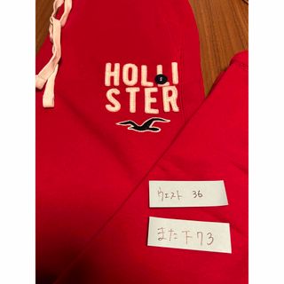 ホリスター(Hollister)のホリスター　Sサイズ(その他)