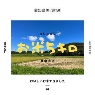 お米5キロ 愛知県美浜町産 コシヒカリ