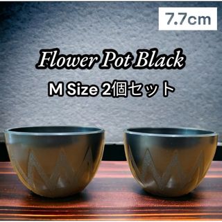 新品　ブラック植木鉢　2個セット　プランツ　Agave鉢　グラキリス(プランター)