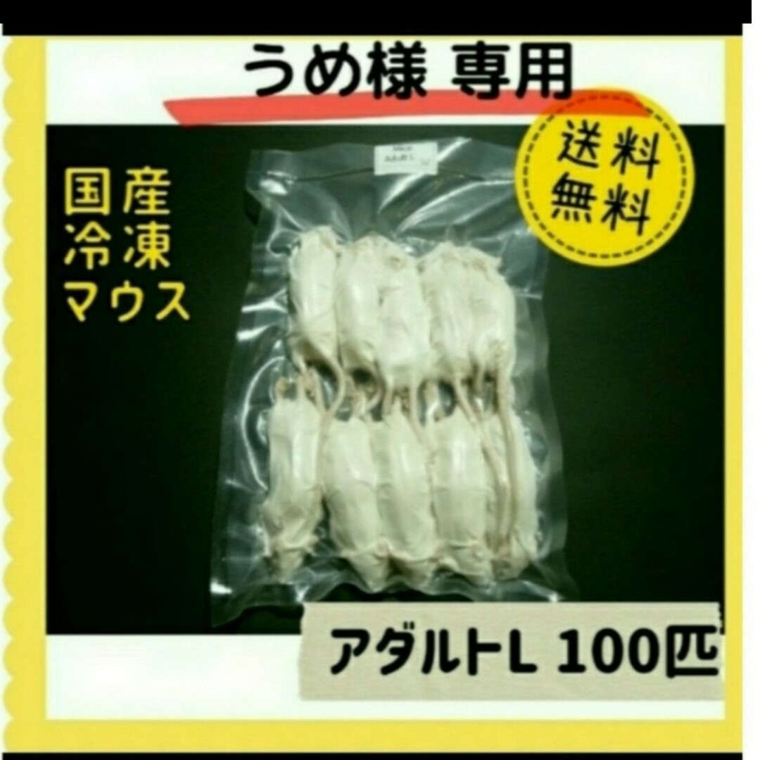 うめ様専用　アダルトL100匹 その他のペット用品(ペットフード)の商品写真