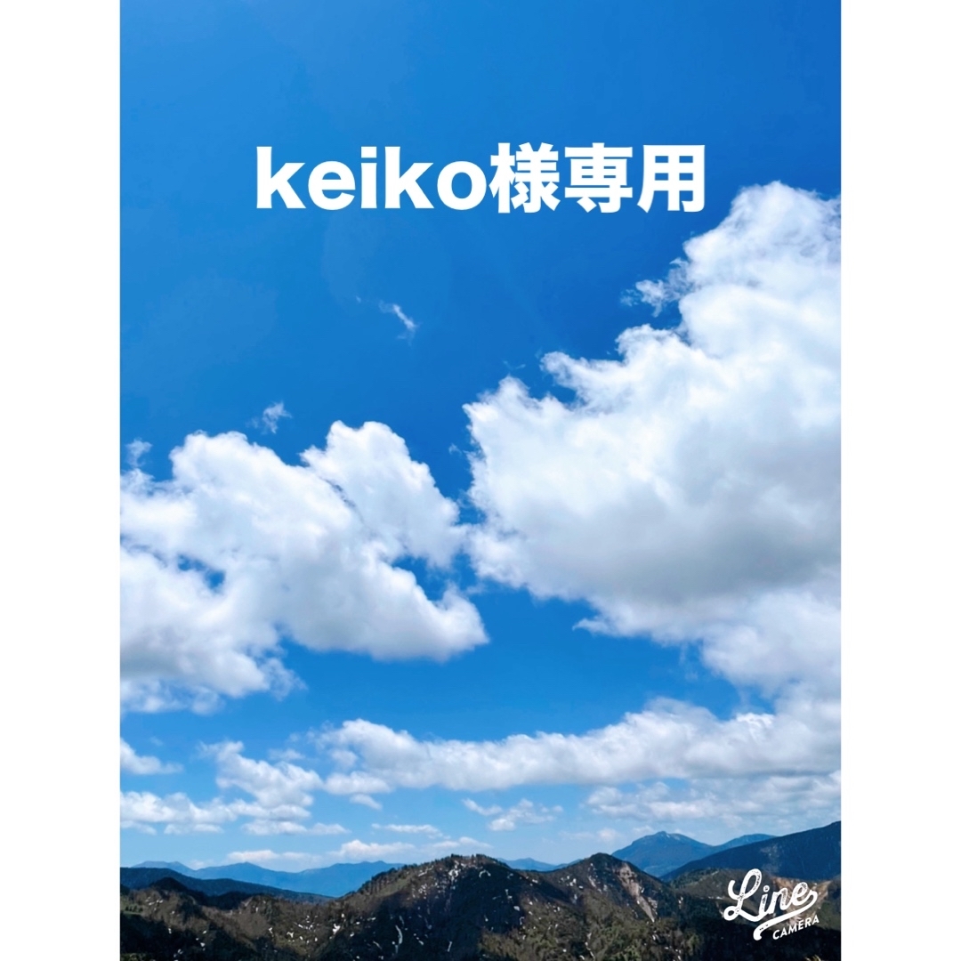 Keiko様専用ページ その他のその他(その他)の商品写真