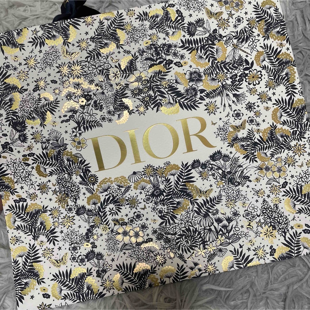 Dior(ディオール)の【Dior】 限定ショッパー ギフトボックス レディースのバッグ(ショップ袋)の商品写真