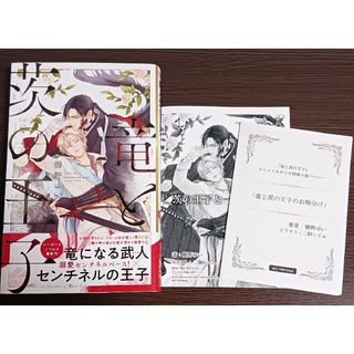 竜と茨の王子 櫛野ゆい 特典 アニメイト コミコミスタジオ 小説ペーパー SS(文学/小説)