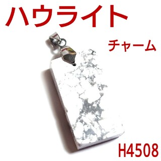 H4508【天然石】ハウライト　ペンダントトップ　ネックレス　チャーム(ネックレス)