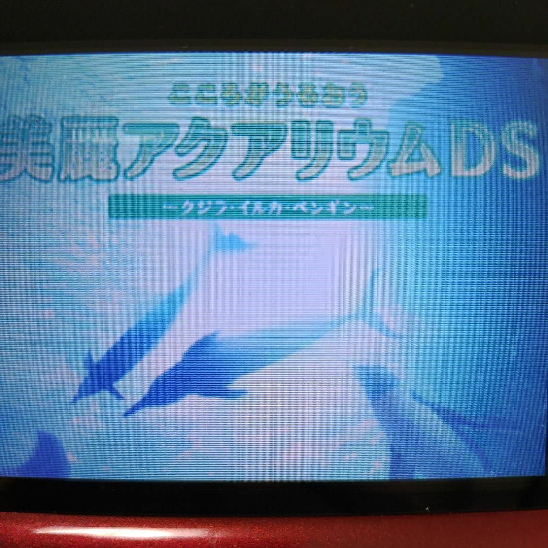 ニンテンドーDS(ニンテンドーDS)のこころがうるおう 美麗アクアリウムDS -クジラ・イルカ・ペンギン- エンタメ/ホビーのゲームソフト/ゲーム機本体(携帯用ゲームソフト)の商品写真