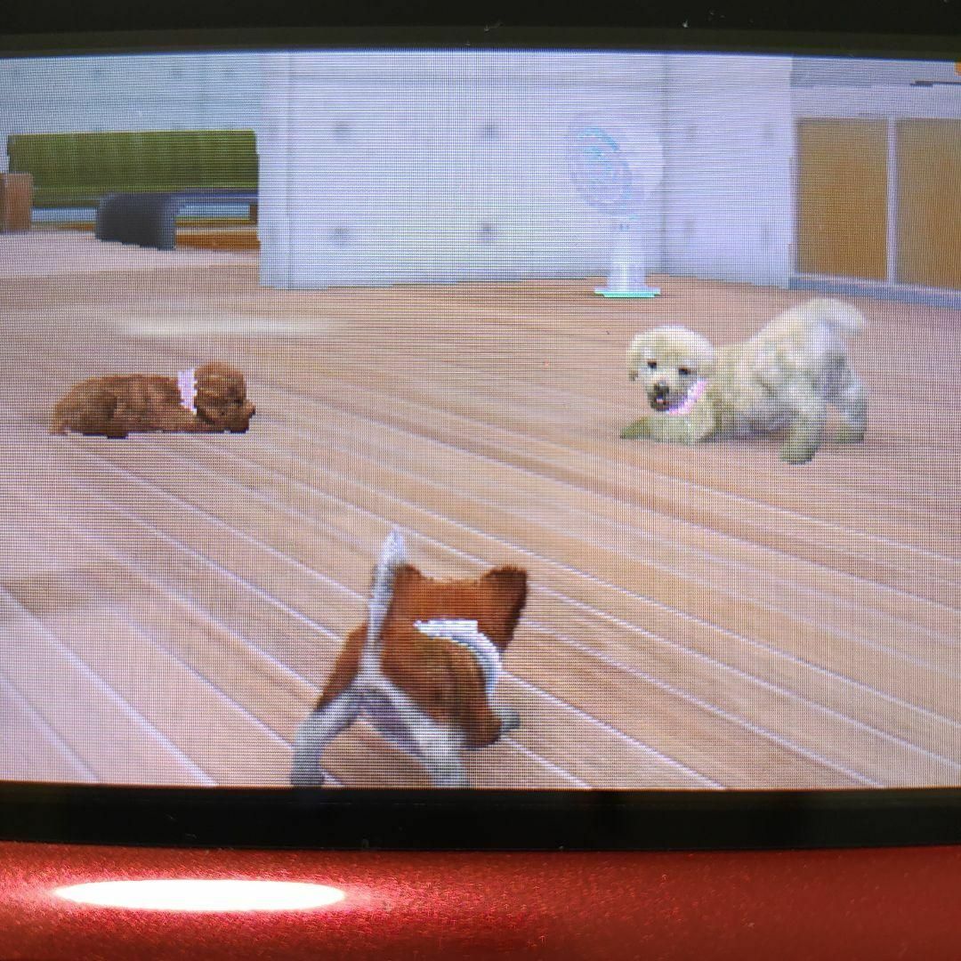 ニンテンドー3DS(ニンテンドー3DS)のnintendogs ＋ cats フレンチ・ブル＆Newフレンズ エンタメ/ホビーのゲームソフト/ゲーム機本体(携帯用ゲームソフト)の商品写真