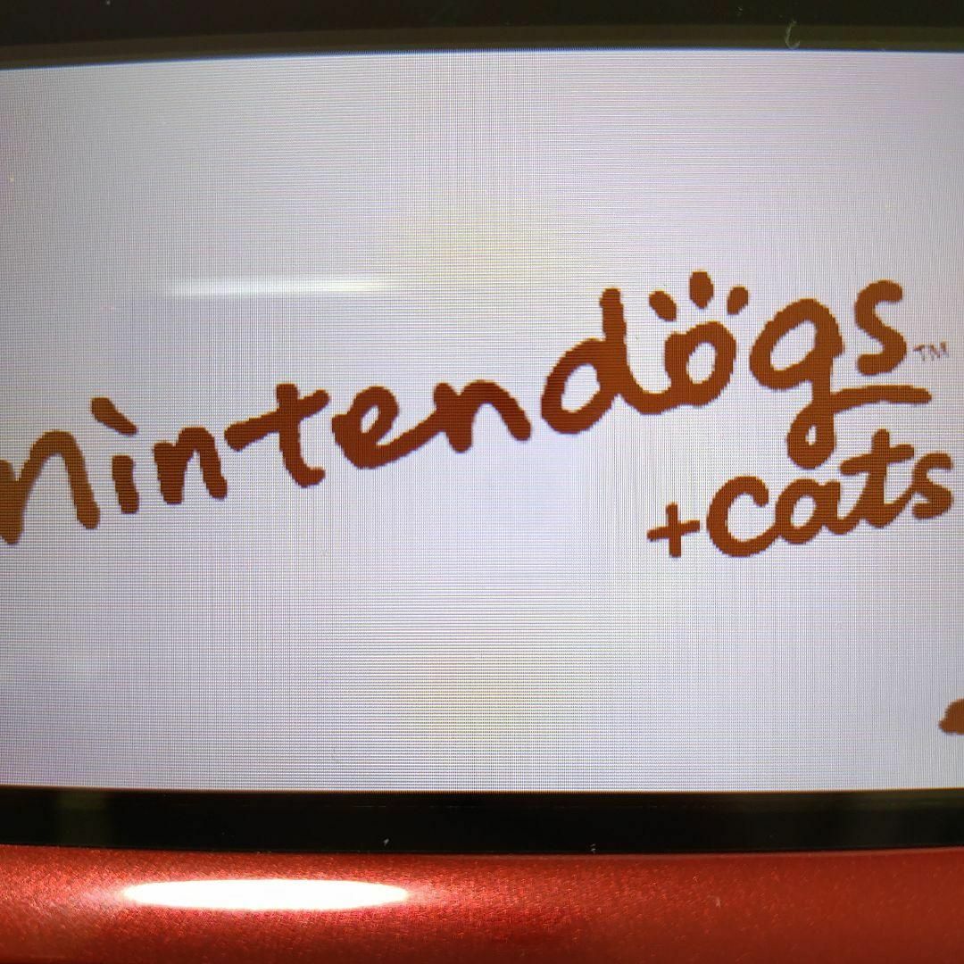 ニンテンドー3DS(ニンテンドー3DS)のnintendogs ＋ cats フレンチ・ブル＆Newフレンズ エンタメ/ホビーのゲームソフト/ゲーム機本体(携帯用ゲームソフト)の商品写真