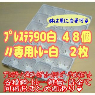 《プレステラ90白48個＋専用システムトレー白2枚》 プラ鉢 スリット鉢 多肉植(プランター)