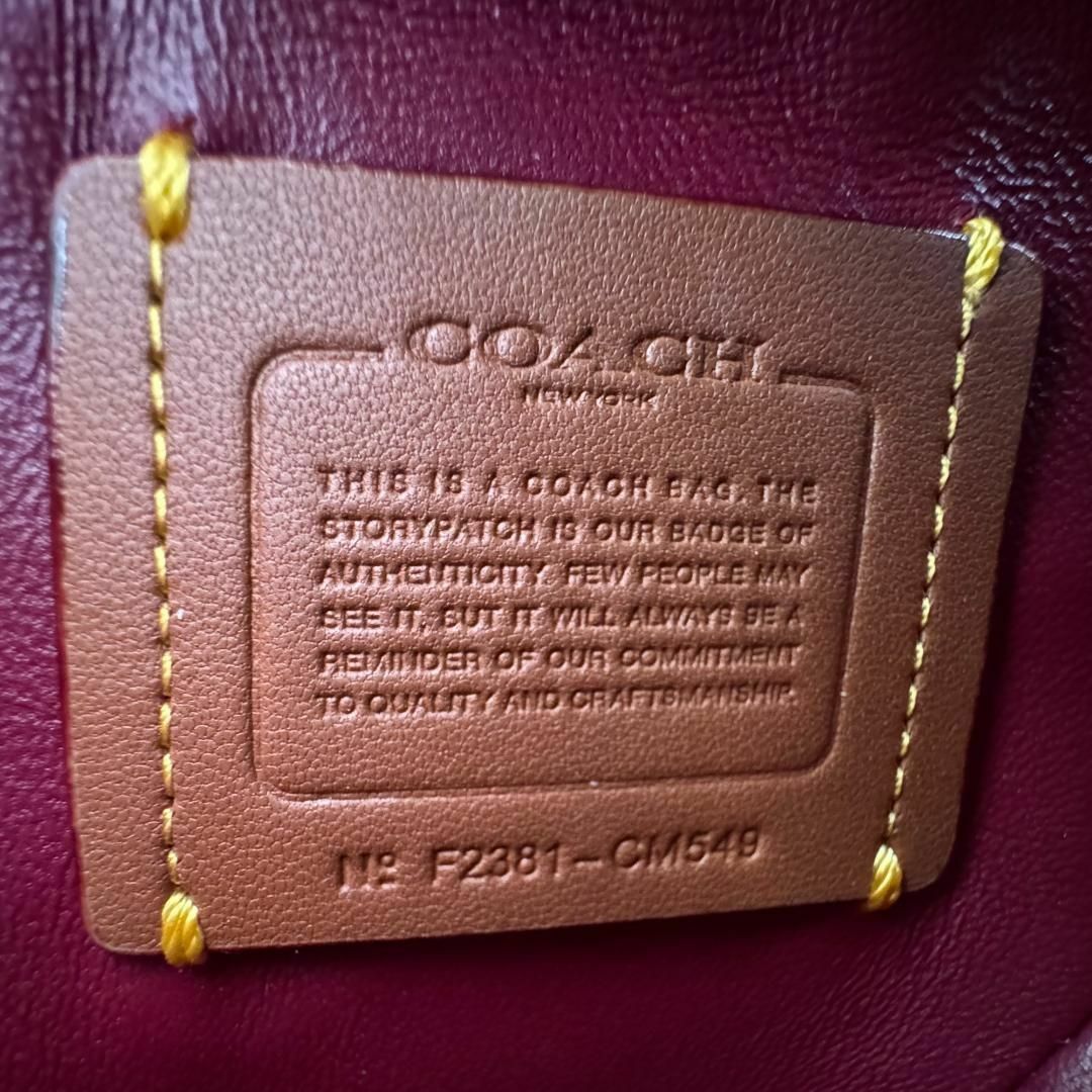 COACH(コーチ)の◎レア・極美品◎コーチ レキシー 2way ショルダーバッグ シグネチャー 恐竜 レディースのバッグ(ショルダーバッグ)の商品写真