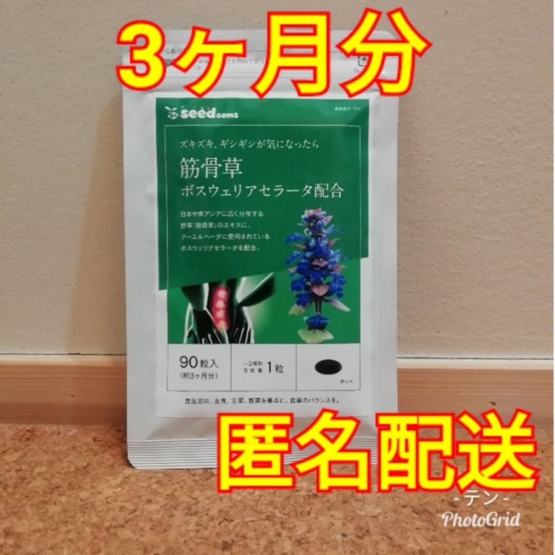 【腰の痛みや膝の痛みに】筋骨草 3ヵ月分 食品/飲料/酒の健康食品(その他)の商品写真