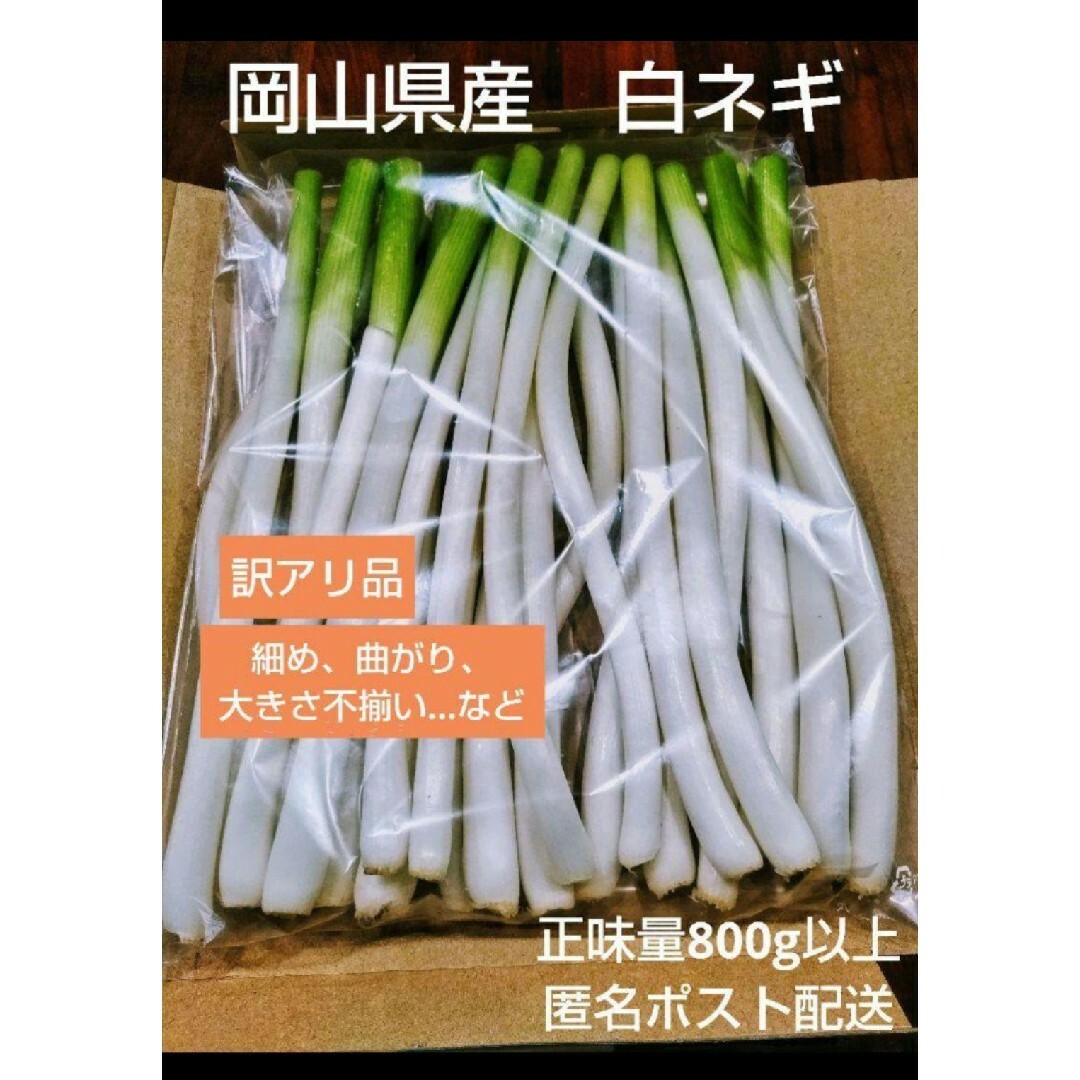 岡山県産　訳アリ　白ネギ　農家直送 食品/飲料/酒の食品(野菜)の商品写真