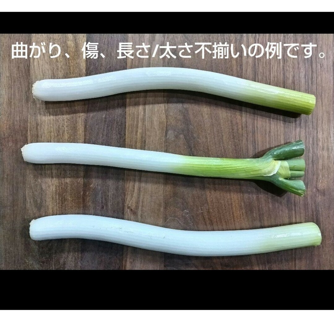 岡山県産　訳アリ　白ネギ　農家直送 食品/飲料/酒の食品(野菜)の商品写真