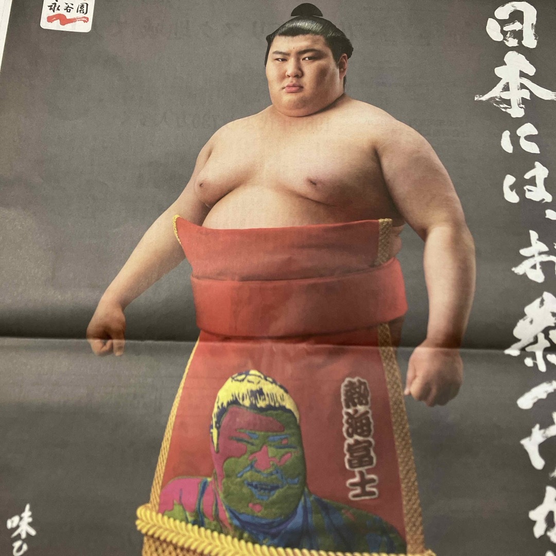 熱海富士新聞 スポーツ/アウトドアのスポーツ/アウトドア その他(相撲/武道)の商品写真