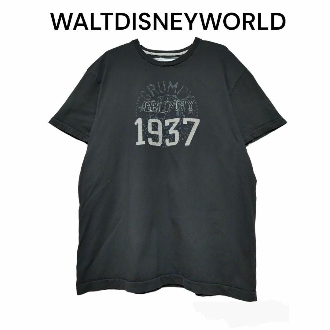 Disney(ディズニー)のWALTDISNEYWORLD　ディズニーワールド　古着　Tシャツ　半袖 メンズのトップス(Tシャツ/カットソー(半袖/袖なし))の商品写真