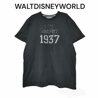 WALTDISNEYWORLD　ディズニーワールド　古着　Tシャツ　半袖