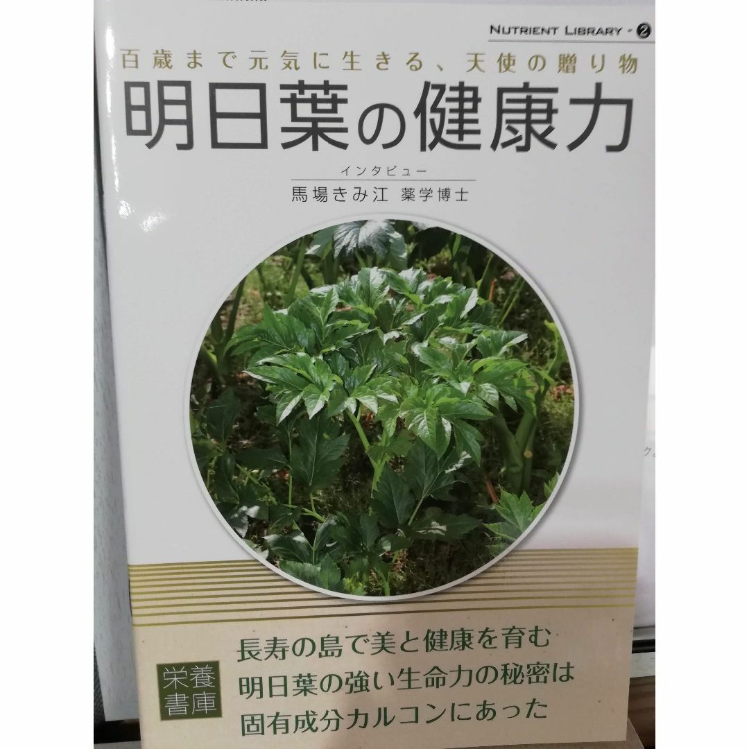 日本一の品質を自負するLeafの農薬・化学肥料不使用の明日葉パウダー100ｇ×2 食品/飲料/酒の食品(その他)の商品写真