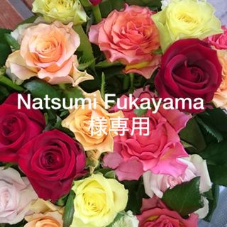 ノエビア(noevir)のNatsumi Fukayama様専用〜ノエビア(化粧水/ローション)