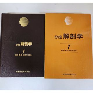 分担解剖学(健康/医学)