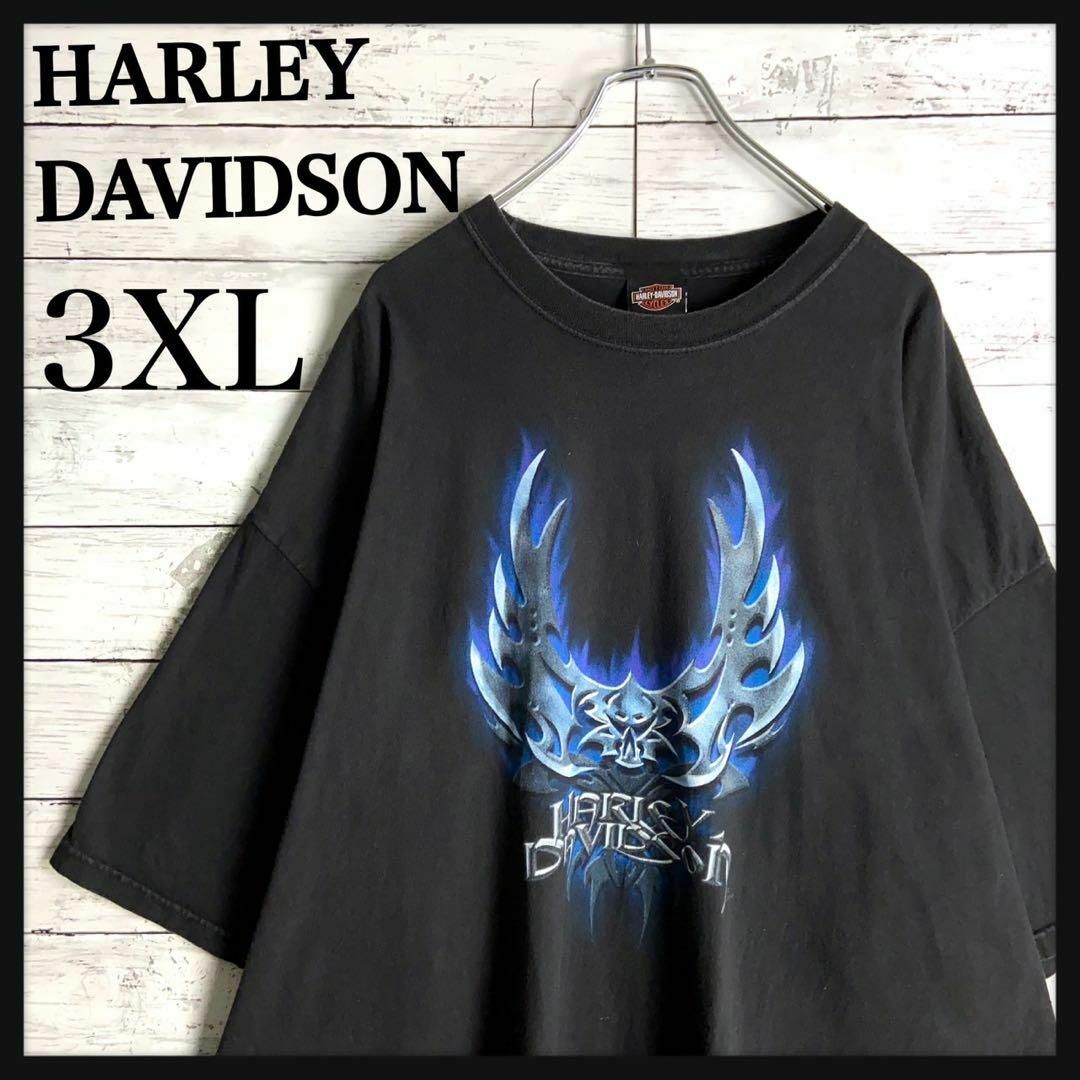 Harley Davidson(ハーレーダビッドソン)の9021【超ビッグサイズ】ハーレーダビッドソン☆ビッグロゴ人気カラーtシャツ メンズのトップス(Tシャツ/カットソー(半袖/袖なし))の商品写真