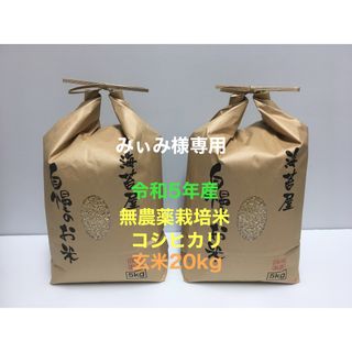 みぃみ様専用 無農薬コシヒカリ玄米20kg(5kg×4)令和5年産(米/穀物)