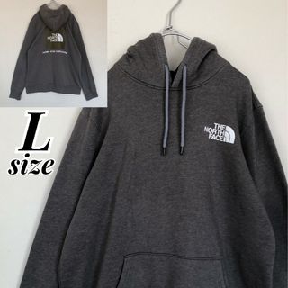 ザノースフェイス(THE NORTH FACE)のTHE NORTH FACE　ザノースフェイス　プルオーバーパーカー　フーディ(パーカー)