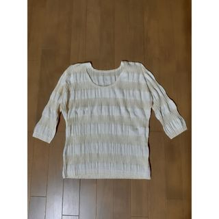 プリーツプリーズイッセイミヤケ(PLEATS PLEASE ISSEY MIYAKE)のPLEATS PLEASE ISSEY MIYAKE ボーダー プリーツ(カットソー(半袖/袖なし))