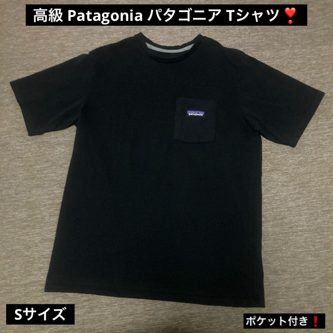 patagonia(パタゴニア)の高級 キャンプ ブランド Patagonia パタゴニア ポケット付き Tシャツ メンズのトップス(Tシャツ/カットソー(半袖/袖なし))の商品写真