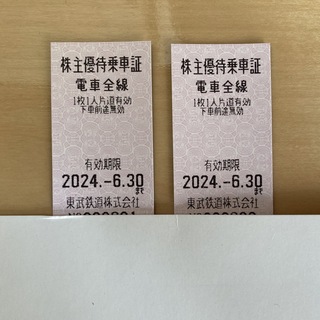 東武鉄道株主優待乗車証２枚 乗車券 有効期限2024/6/30①(鉄道乗車券)